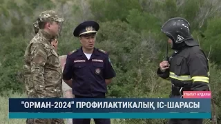 "ОРМАН-2024" профилактикалық іс - шарасы